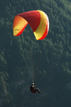 060822-083©B.Boone